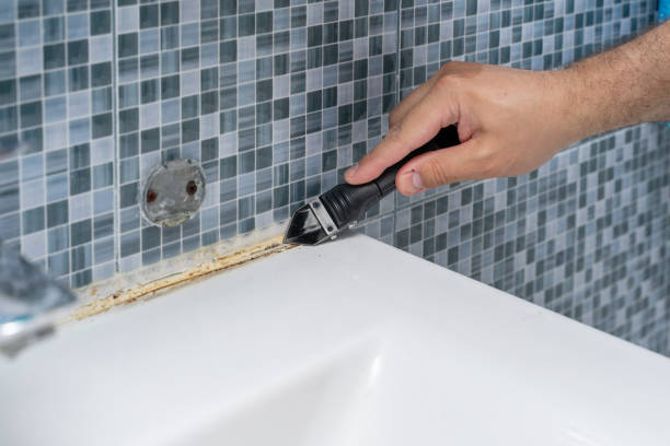  North Utica, IL Mold Removal Pros