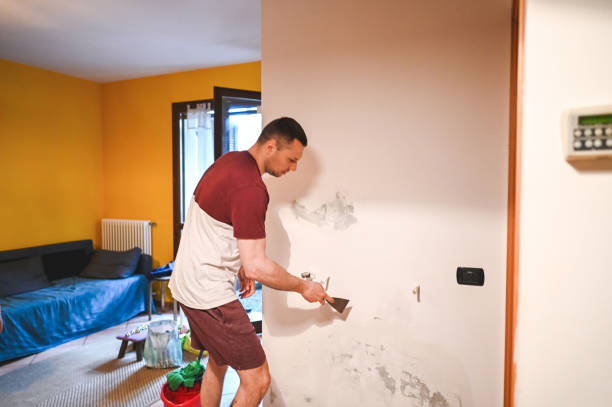 Best DIY Mold Remediation Support Services in North Utica, IL